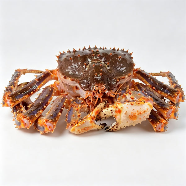 Frozen Whole King Crab
